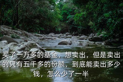 買了一萬多的基金，想賣出，但是賣出的只有五千多的份額，到底能賣出多少錢，怎么少了一半