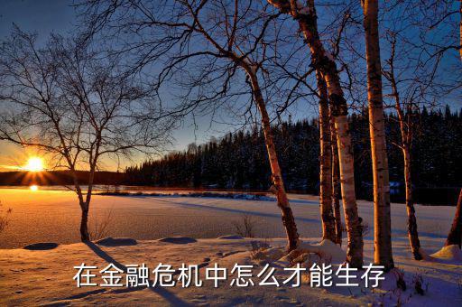 在金融危機(jī)中怎么才能生存