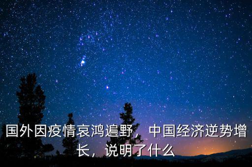 國(guó)外因疫情哀鴻遍野，中國(guó)經(jīng)濟(jì)逆勢(shì)增長(zhǎng)，說(shuō)明了什么