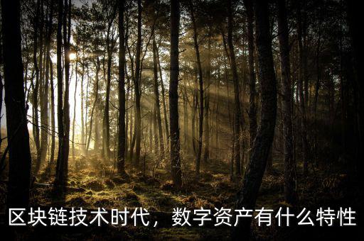 區(qū)塊鏈技術(shù)時(shí)代，數(shù)字資產(chǎn)有什么特性