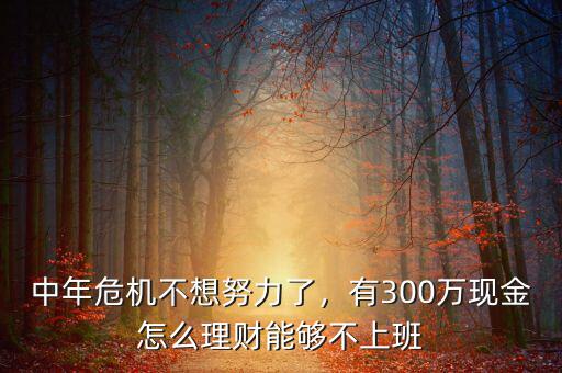 中年危機(jī)不想努力了，有300萬現(xiàn)金怎么理財能夠不上班