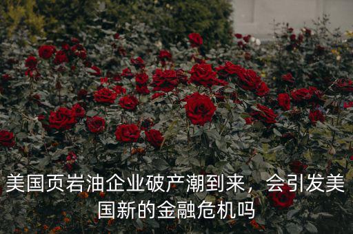 美國(guó)頁巖油企業(yè)破產(chǎn)潮到來，會(huì)引發(fā)美國(guó)新的金融危機(jī)嗎