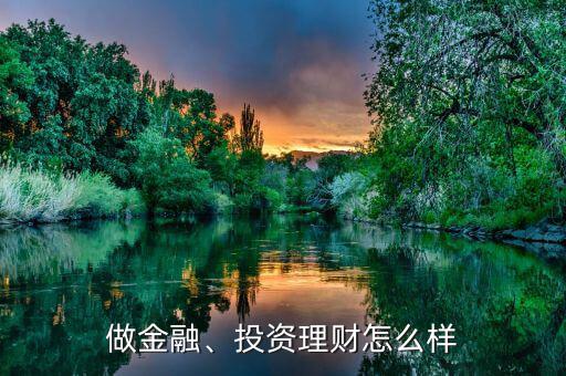 做金融、投資理財(cái)怎么樣