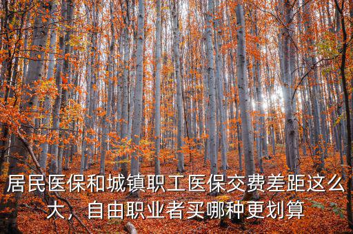 居民醫(yī)保和城鎮(zhèn)職工醫(yī)保交費(fèi)差距這么大，自由職業(yè)者買哪種更劃算