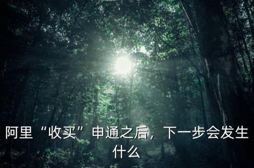阿里“收買”申通之后，下一步會(huì)發(fā)生什么