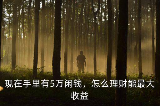 現(xiàn)在手里有5萬(wàn)閑錢(qián)，怎么理財(cái)能最大收益