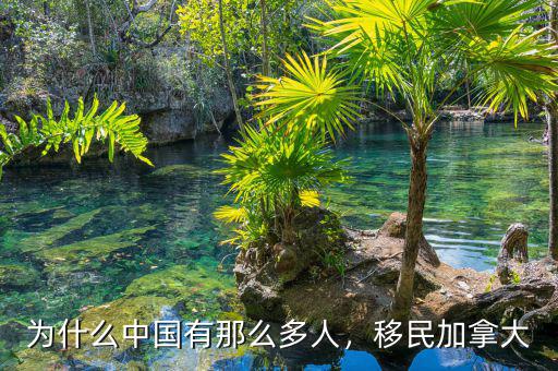 為什么中國有那么多人，移民加拿大