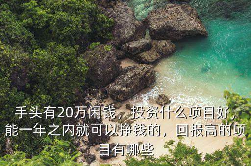 手頭有20萬閑錢，投資什么項(xiàng)目好，能一年之內(nèi)就可以掙錢的，回報(bào)高的項(xiàng)目有哪些