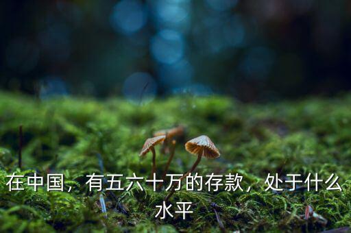 在中國(guó)，有五六十萬(wàn)的存款，處于什么水平