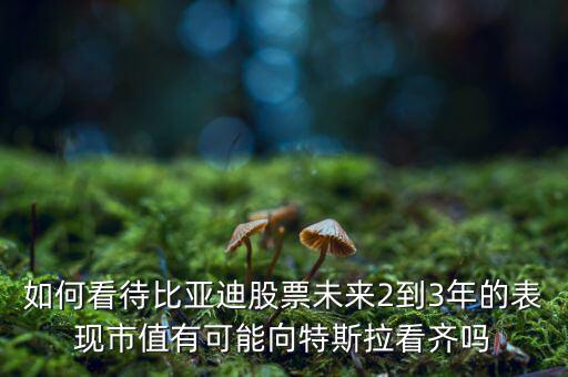 比亞迪股票怎么買,比亞迪股票現在可以買嗎
