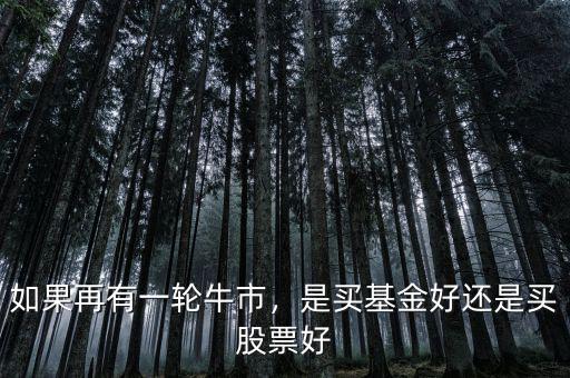 如果再有一輪牛市，是買基金好還是買股票好