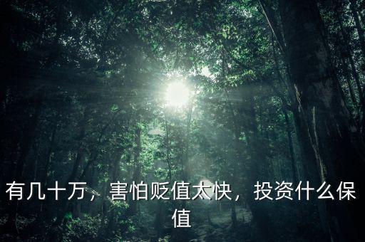 有幾十萬(wàn)，害怕貶值太快，投資什么保值