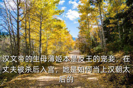 漢文帝的生母薄姬本是反王的寵妾，在丈夫被殺后入宮，她是如何當(dāng)上漢朝太后的