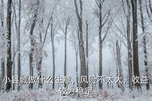 小縣城做什么生意，風險不太大，收益較為穩(wěn)定
