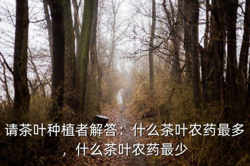 請(qǐng)茶葉種植者解答：什么茶葉農(nóng)藥最多，什么茶葉農(nóng)藥最少