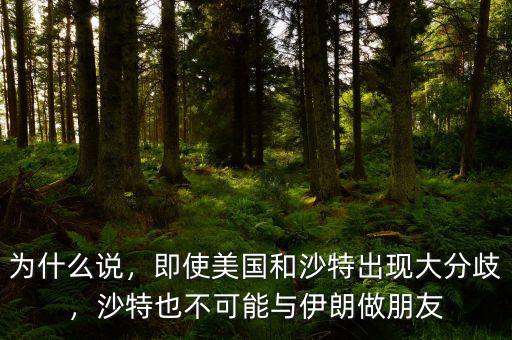 為什么說，即使美國和沙特出現(xiàn)大分歧，沙特也不可能與伊朗做朋友