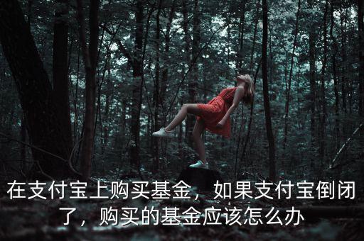 在支付寶上購買基金，如果支付寶倒閉了，購買的基金應(yīng)該怎么辦