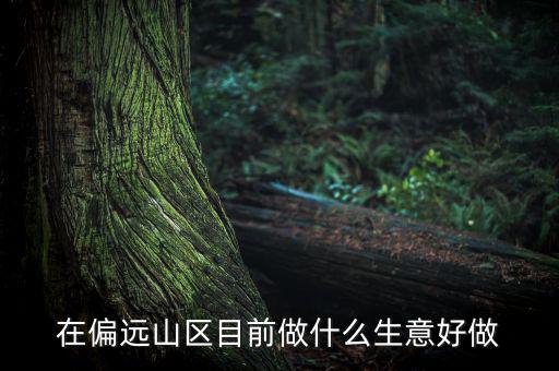 偏遠(yuǎn)城市做什么項(xiàng)目,可用5年。做什么項(xiàng)目好呢