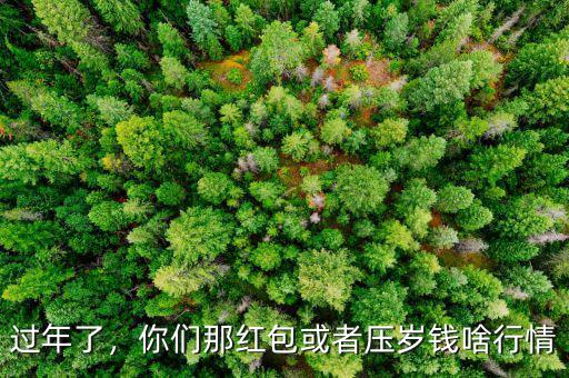 過年了，你們那紅包或者壓歲錢啥行情