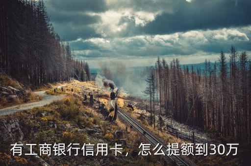 有工商銀行信用卡，怎么提額到30萬(wàn)