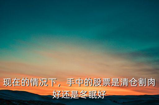 現(xiàn)在的情況下，手中的股票是清倉割肉好還是冬眠好
