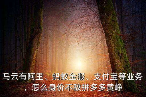 馬云有阿里、螞蟻金服、支付寶等業(yè)務(wù)，怎么身價(jià)不敵拼多多黃崢