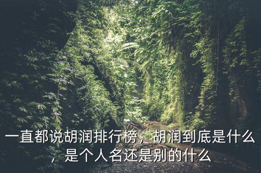 一直都說胡潤排行榜，胡潤到底是什么，是個(gè)人名還是別的什么