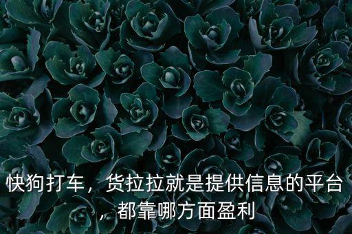 快狗打車，貨拉拉就是提供信息的平臺，都靠哪方面盈利