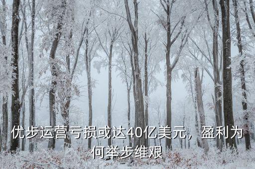 優(yōu)步運(yùn)營虧損或達(dá)40億美元，盈利為何舉步維艱