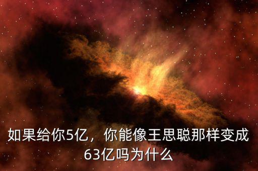 如果給你5億，你能像王思聰那樣變成63億嗎為什么