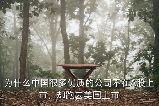 為什么中國很多優(yōu)質(zhì)的公司不在A股上市，卻跑去美國上市