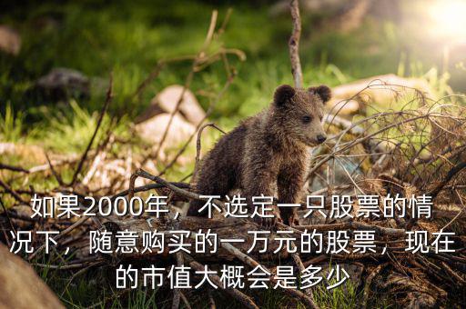 如果2000年，不選定一只股票的情況下，隨意購買的一萬元的股票，現(xiàn)在的市值大概會(huì)是多少