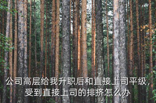 公司高層給我升職后和直接上司平級(jí)，受到直接上司的排擠怎么辦