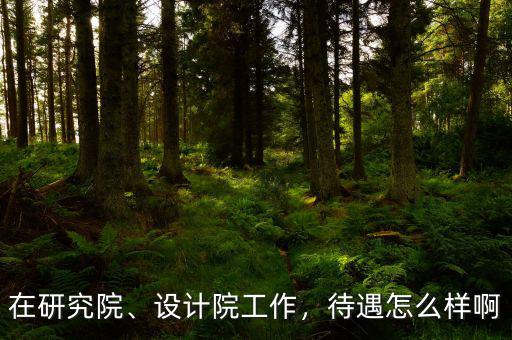 在研究院、設(shè)計(jì)院工作，待遇怎么樣啊