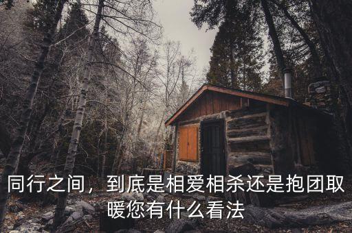 同行之間，到底是相愛相殺還是抱團(tuán)取暖您有什么看法