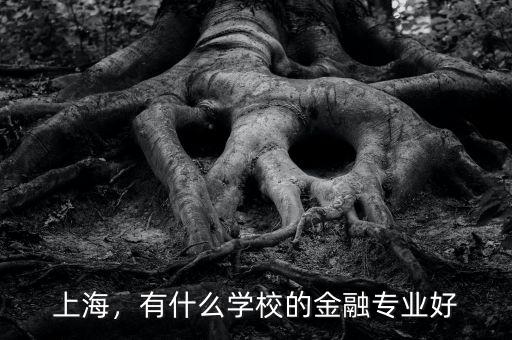 上海，有什么學校的金融專業(yè)好