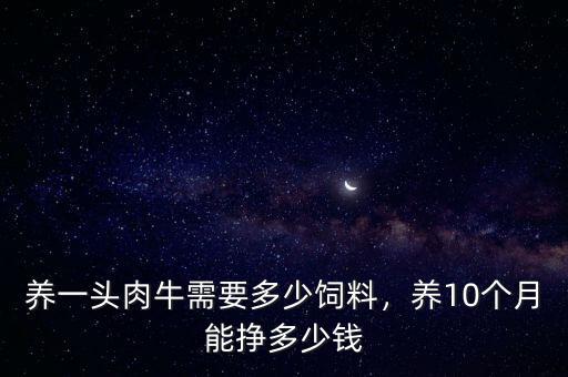 養(yǎng)一頭肉牛需要多少飼料，養(yǎng)10個(gè)月能掙多少錢(qián)