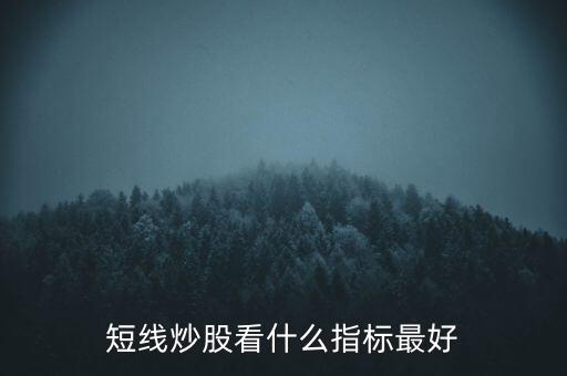 短線(xiàn)炒股看什么指標(biāo)最好