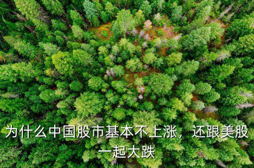 為什么中國(guó)股市基本不上漲，還跟美股一起大跌