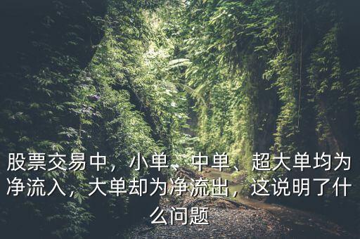 股票交易中，小單、中單、超大單均為凈流入，大單卻為凈流出，這說明了什么問題