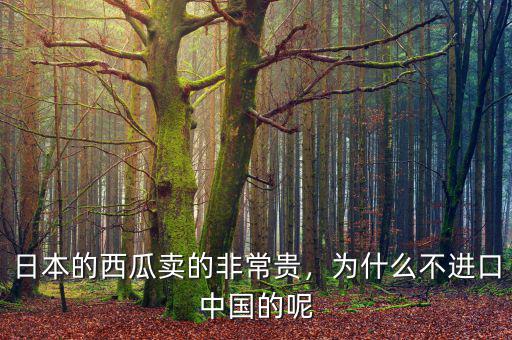 日本的西瓜賣的非常貴，為什么不進口中國的呢