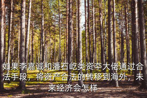 如果李嘉誠和潘石屹類資夲大佬通過合法手段，將資產(chǎn)合法的轉(zhuǎn)移到海外，未來經(jīng)濟會怎樣