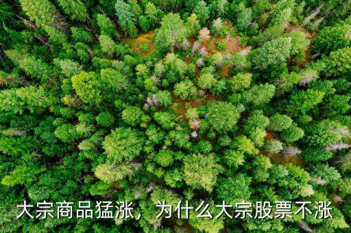 大宗商品猛漲，為什么大宗股票不漲