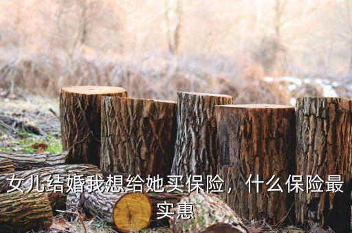 女兒結(jié)婚我想給她買保險(xiǎn)，什么保險(xiǎn)最實(shí)惠