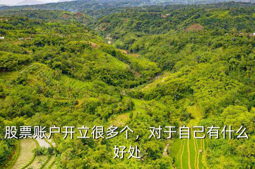股票賬戶開立很多個，對于自己有什么好處