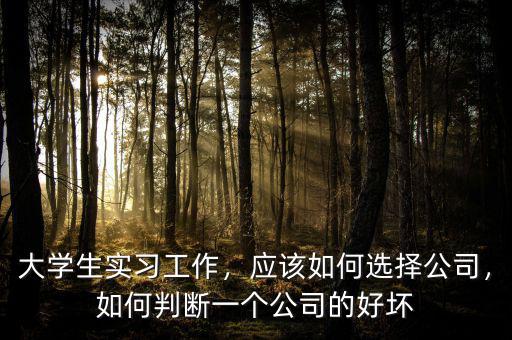 大學生實習工作，應該如何選擇公司，如何判斷一個公司的好壞