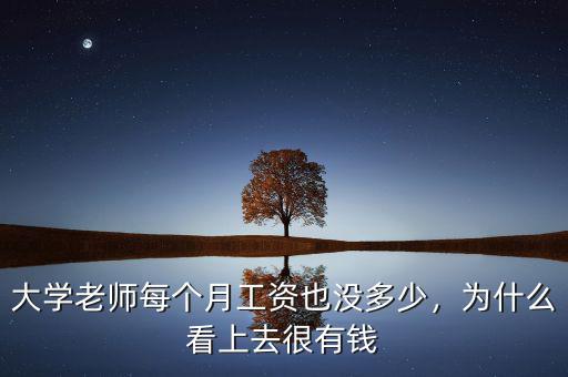 大學(xué)老師每個(gè)月工資也沒(méi)多少，為什么看上去很有錢(qián)