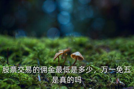 股票交易的傭金最低是多少，萬一免五是真的嗎