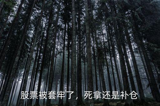 股票被套牢了，死拿還是補(bǔ)倉(cāng)