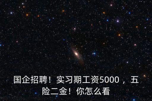 國(guó)企招聘！實(shí)習(xí)期工資5000 ，五險(xiǎn)二金！你怎么看